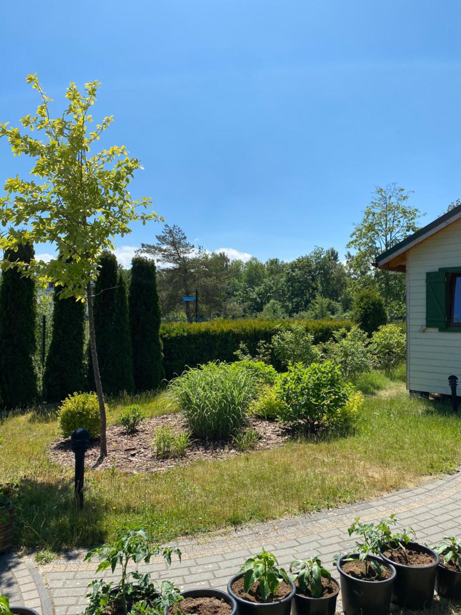 Sloneczna Polana Villa Mielno  Eksteriør bilde